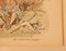 Watercolor Paintings by H Brock Univited Guest, a Lion in the Path, 1894, Set of 2 6