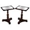 William IV Hardwood Side Tables with Mirrored Tops, 1830s, Set of 2, Image 1