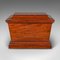 Large Regency English Sarcophagus Cellarette or Wine Cooler in Mahogany 1