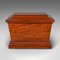 Large Regency English Sarcophagus Cellarette or Wine Cooler in Mahogany, Image 1