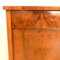 Antique Biedermeier Chest with Two Doors and a Drawer 6