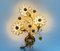 Florale Wandleuchte aus Kristallglas von Palwa, 1960er 9