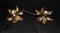 Double Floral Wall or Ceiling Lamp by Willy Daro for Massive 6