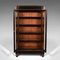 Tall Antique English Regency Display Cabinet or Bookcase, 1830s 3