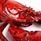 Large Decorative Red Ceramic Lobster, Italy 10