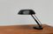 German Table Lamp by Karl Trabert for Schaco Schanzenbach & Co. 1