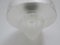 Art Nouveau Frosted Glass Ceiling Lamp, Image 12