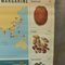 Vintage Educational Plant Chart 2