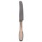 Number 14 Dinner Knife in Hammered Silver & Stainless Steel from Evald Nielsen, Image 1