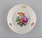 Antique Bowl & Porcelain Plates with Hand-Painted Flowers from Meissen, Set of 4 5