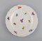 Bol et Assiettes Antiques en Porcelaine avec Fleurs Peintes à la Main de Meissen, Set de 4 3