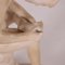 Spiny Sculpture in Alabaster 7