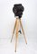 Theatre Tripod Floor Lamp, Czechoslovakia, 1970s 2