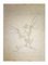 Leo Guida, The Bird, Drawing, 1970s 1