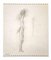 Leo Guida, Standing Nude, Drawing, 1970s, Image 1