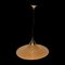 Lámpara colgante Pencil Reed de ratán y bambú, años 70, Imagen 1