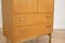 Mid-Century Tallboy Cupboard Chest from G-Plan, 1960s 6