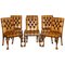 Leather Chesterfield Dining Chairs with Claw & Ball Feet, Set of 6 1