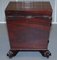 Regency Hardwood Wine Cooler with Lion's Feet, 1810s 11