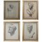 Italian 19th Century Sketches by F Mazzoli, Set of 4, Image 1