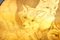 Mesa inclinada victoriana ebonizada con dibujos de Fox Cubs, Imagen 15