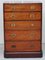Tall Antique Military Campaign Chest of Drawers in Hardwood, 1860s 2