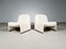 Alky Chairs by Giancarlo Piretti for Castelli/Artifort, 1970s, Set of 2 2