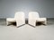 Chaises Alky par Giancarlo Piretti pour Castelli/Artifort, 1970s, Set de 2 2