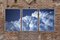 Multipanel Triptych of Serene Clouds, Limited Edition, 2021, Handgefertigte Cyanotypie 7