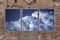 Multipanel Triptych of Serene Clouds, Limited Edition, 2021, Handmade Cyanotype 7