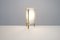 Tripod Brass and Acrylic Glass Table Lamp from Asselbur, 1950s 2