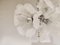 Murano Glass Flower Chandelier, 1960s, Image 2