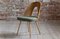 Mid-Century Dining Chairs from Ašuman, Set of 10 4