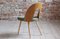 Mid-Century Dining Chairs from Ašuman, Set of 10 5