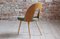 Mid-Century Dining Chairs from Ašuman, Set of 10, Image 5
