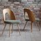 Mid-Century Dining Chairs from Ašuman, Set of 10 3