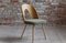 Mid-Century Dining Chairs from Ašuman, Set of 10 6