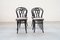 Chairs from Thonet, 1950s, Set of 4, Image 3