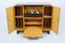 Record Player Cabinet by J. Halabala for Supraphon, 1958 2