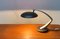 Space Age Boomerang Table Lamps by Luis Pérez de la Oliva for Fase, Set of 2 28