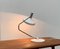 Lampe de Bureau Pentarkus Mid-Century par Rosemarie et Rico Baltensweiler pour Baltensweiler, Suisse 31