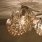 Lámpara de araña grande de cristal burbuja ámbar de Helena Tynell para Limburg, años 60, Imagen 8
