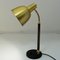 Brass Table and Desk Lamp from Selecto AS, Norway, 1950s 6
