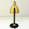 Brass Table and Desk Lamp from Selecto AS, Norway, 1950s 5