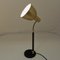 Brass Table and Desk Lamp from Selecto AS, Norway, 1950s 2
