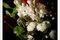 Flowers with Caravaggio Light, Still Life Giclée Photo, 2021 4