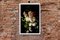 Blumen mit Caravaggio Licht, Stillleben Giclée Photo, 2021 7