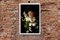 Flowers with Caravaggio Light, Still Life Giclée Photo, 2021 7