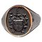 Portuguese Signet Ring with Coat of Arms in Steel and Gold, Image 1
