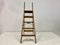 Simplex Stepladder with Brass Foot Plates 12